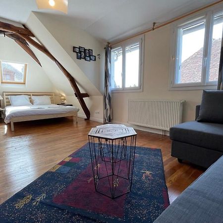 Town House In The Heart Of The Cher Valley Near Amboise Βίλα Blere Εξωτερικό φωτογραφία